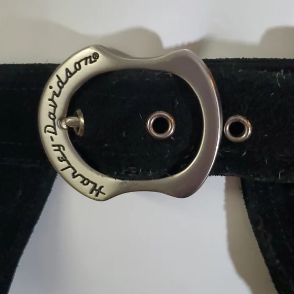 Harley-Davidson CHAPS - Picture 4 of 6